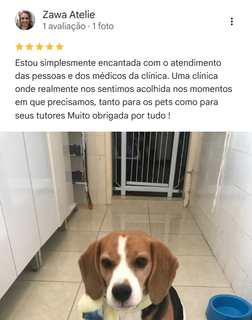 Avaliação real de tutor sobre a Dra. Key