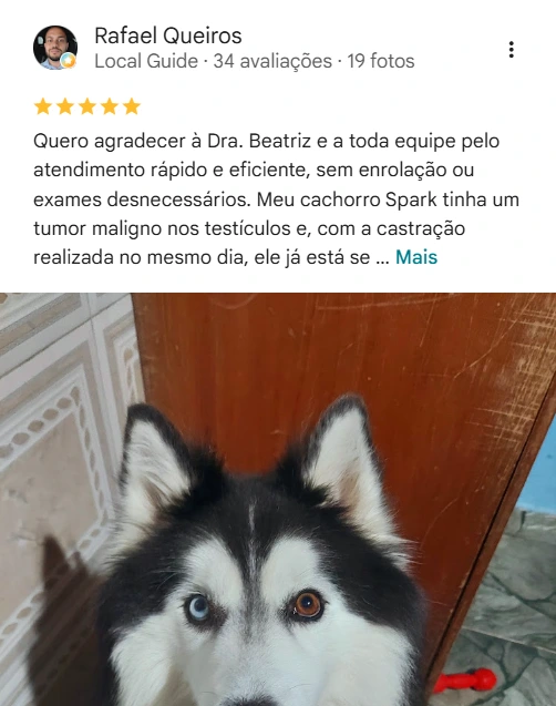 Avaliação real de tutor sobre a Dra. Key