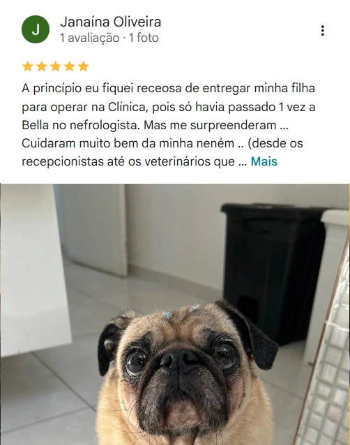 Avaliação real de tutor sobre a Dra. Key