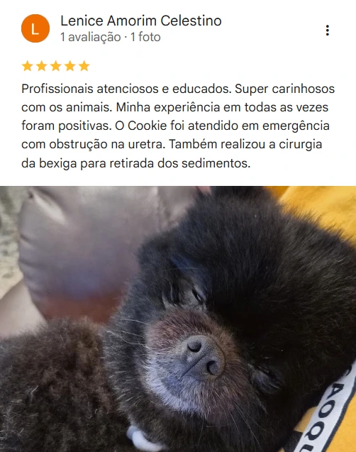 Avaliação real de tutor sobre a Dra. Key
